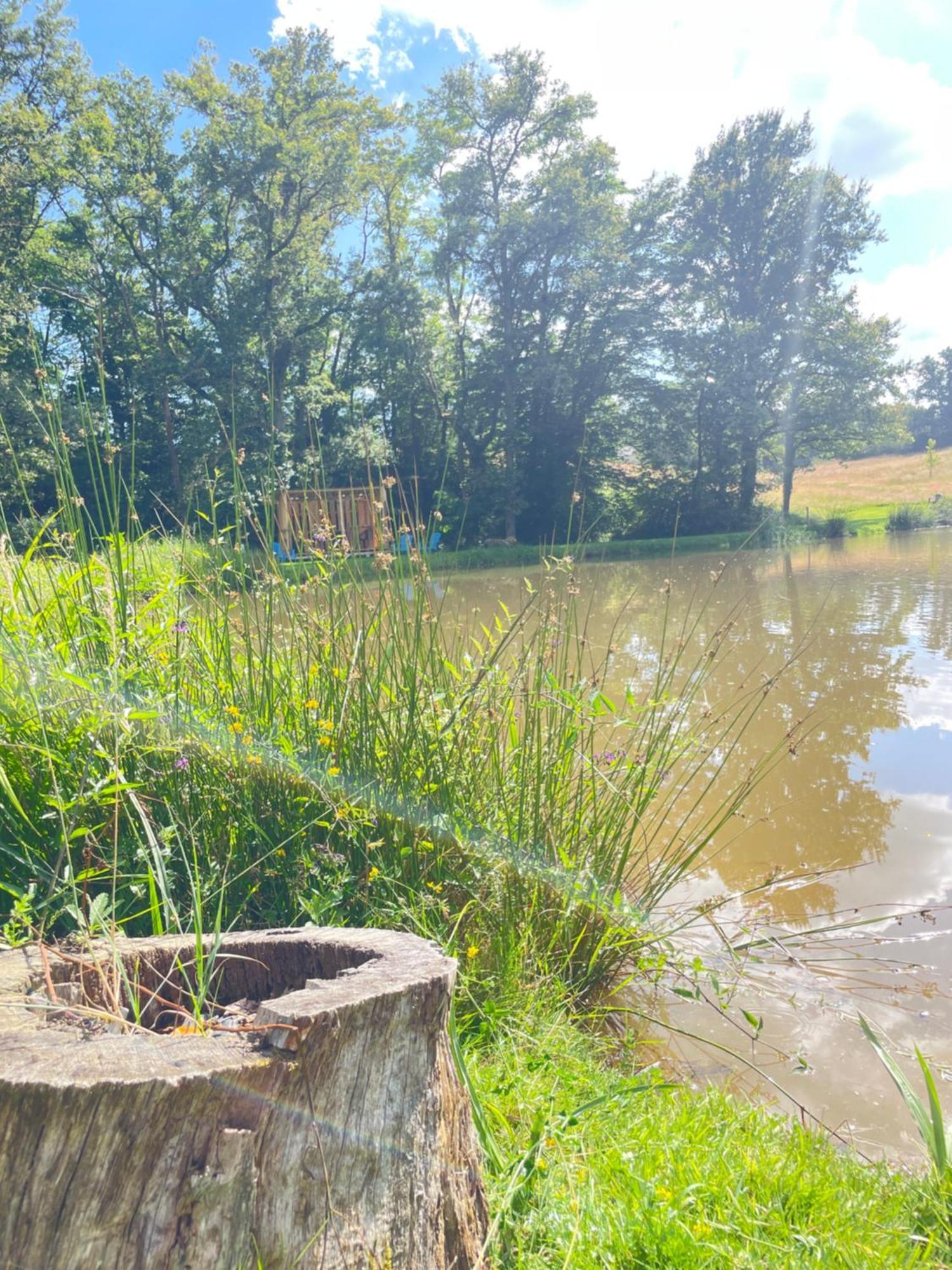 Gite Neuf Avec Jardin, Foret Et Etang Argenton Sur Creuse Esterno foto